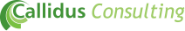 Callidus Consulting