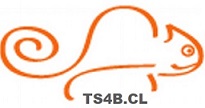 TS4B CHILE