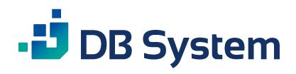 DB SYSTEM